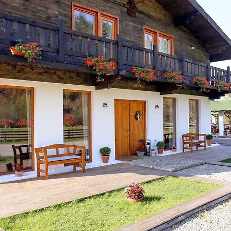 Landhaus Bed&Breakfast Vişeu de Sus 外观 照片