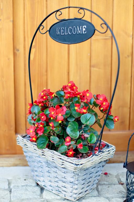 Landhaus Bed&Breakfast Vişeu de Sus 外观 照片