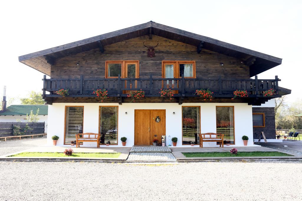 Landhaus Bed&Breakfast Vişeu de Sus 外观 照片